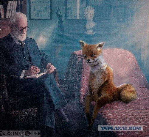 Таксидермия + наркомания