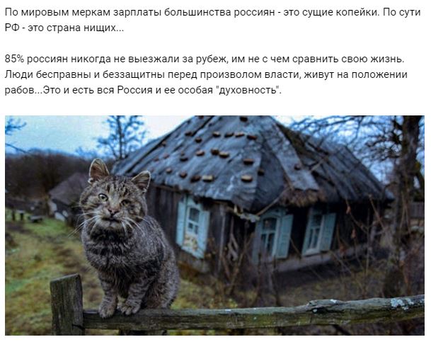 Довольно лжи!