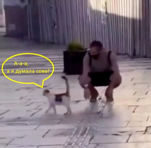 Понял, да?