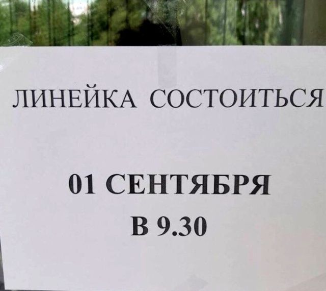 Всяческие картинки 15.11.2021