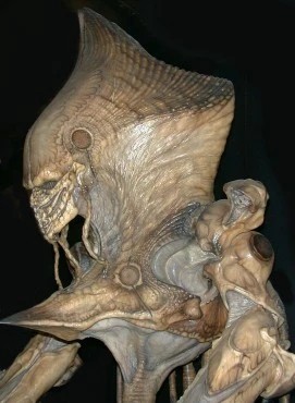 Фото со съёмок фильма: "День независимости", 1996