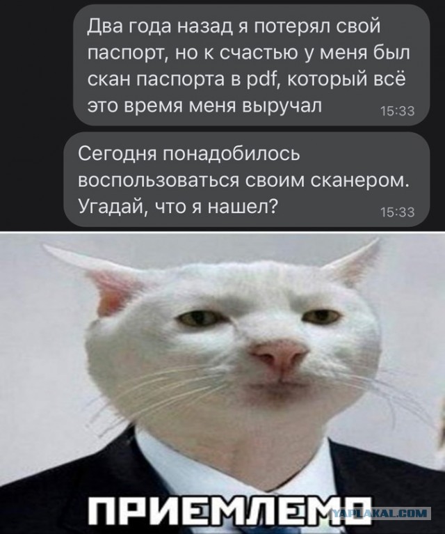 Весёлый полтишок 18.02