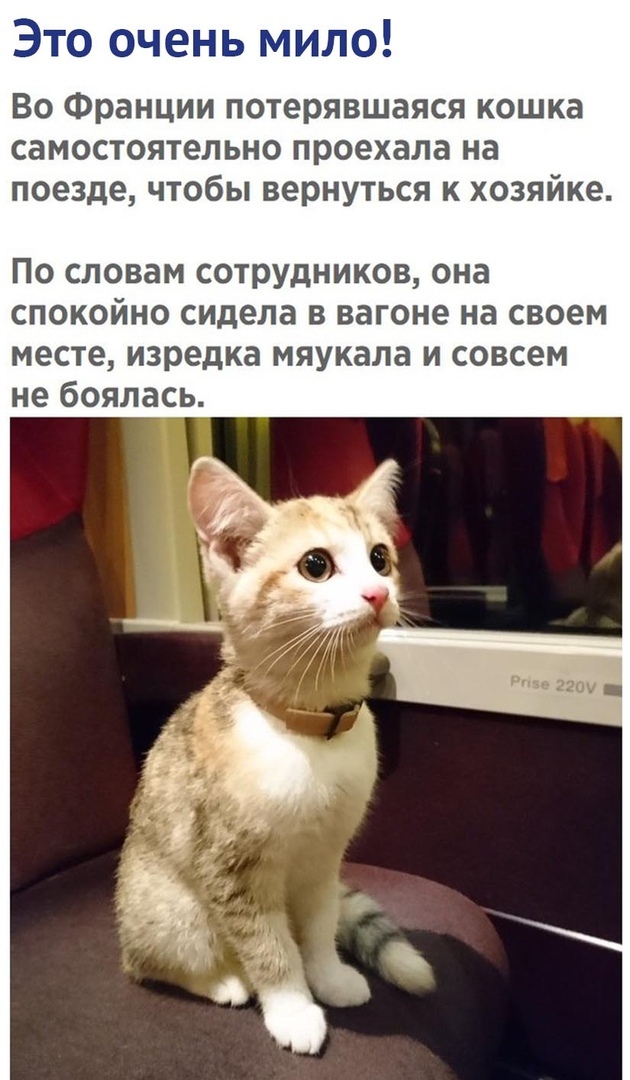 Мало картинок