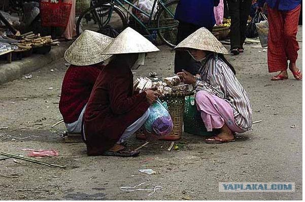 Подборка веселых фоток Вьетнама