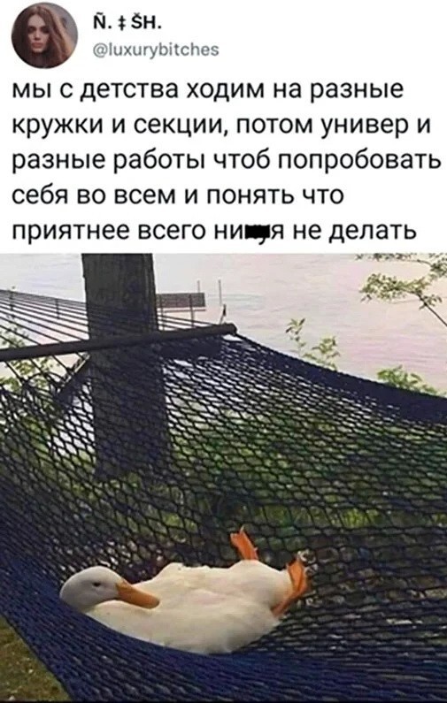 Скриншоты и комментарии из социальных сетей 30.07.22