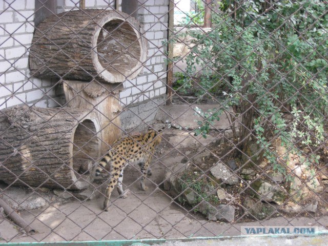 Я люблю Казань!