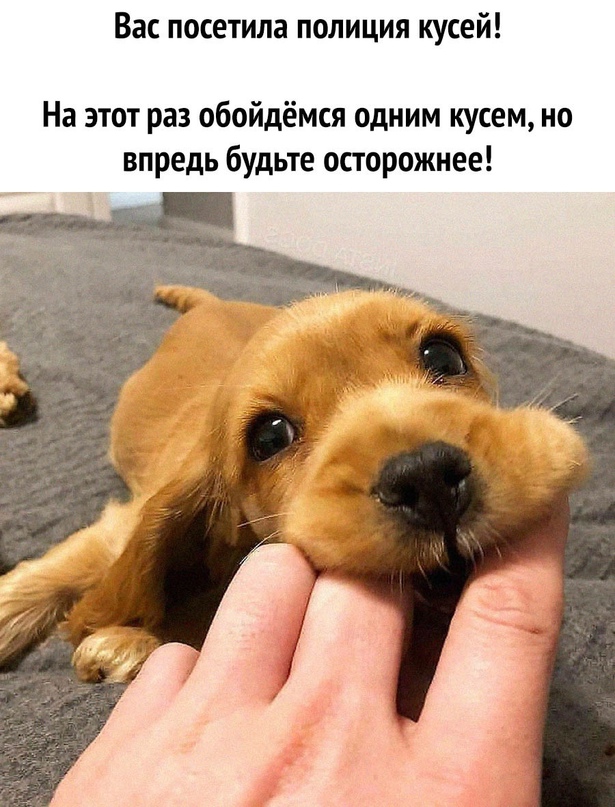 Картинки и мемы для настроения - 17