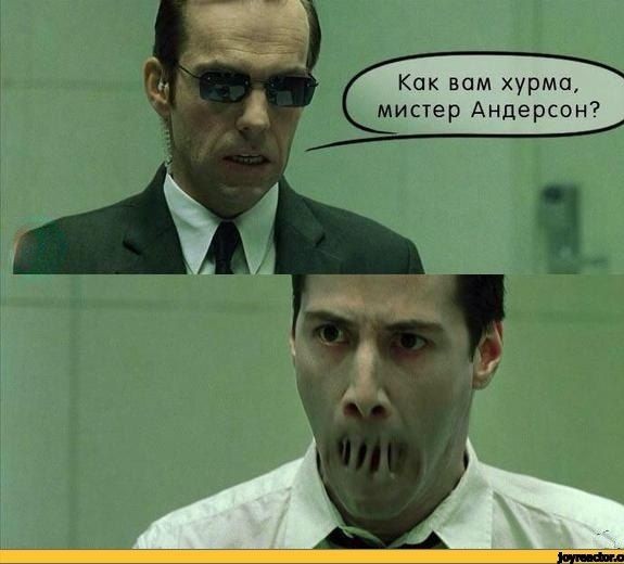 Щипатели хурмы