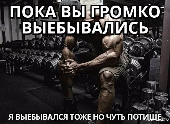 Приколы с налетом деградации