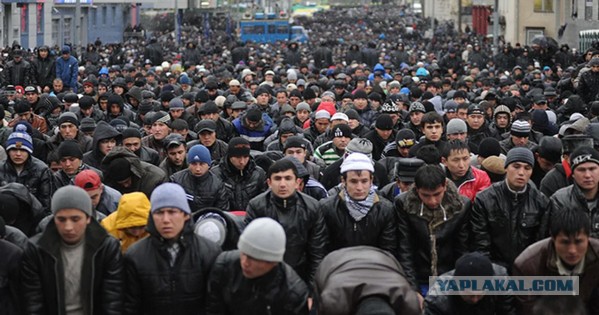 Москвичи, готовьтесь. Запасаемся едой