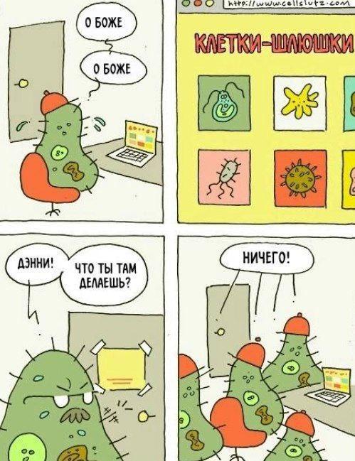 Какие-нибудь картинки