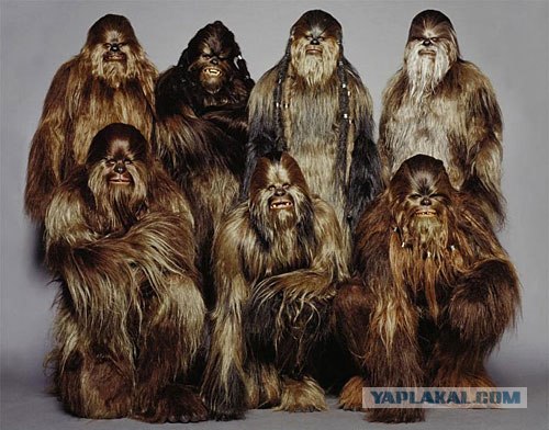 Кто шагает дружно в ряд?