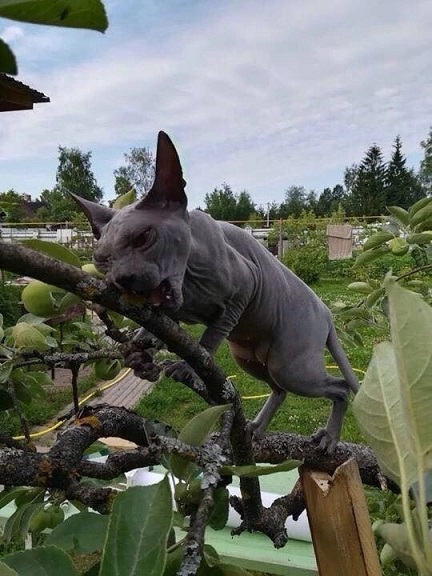 А кто это мы?