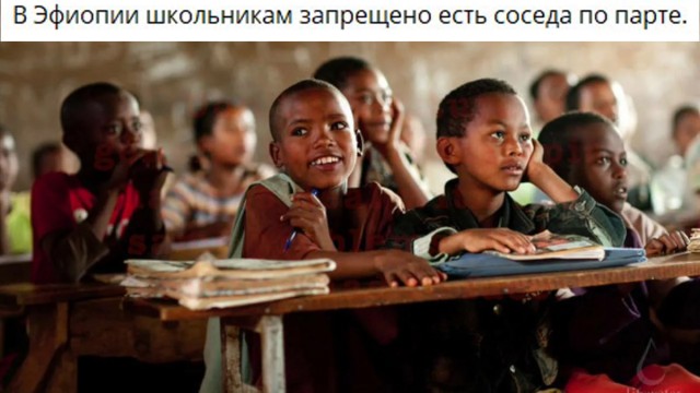Баяны на школьную тематику