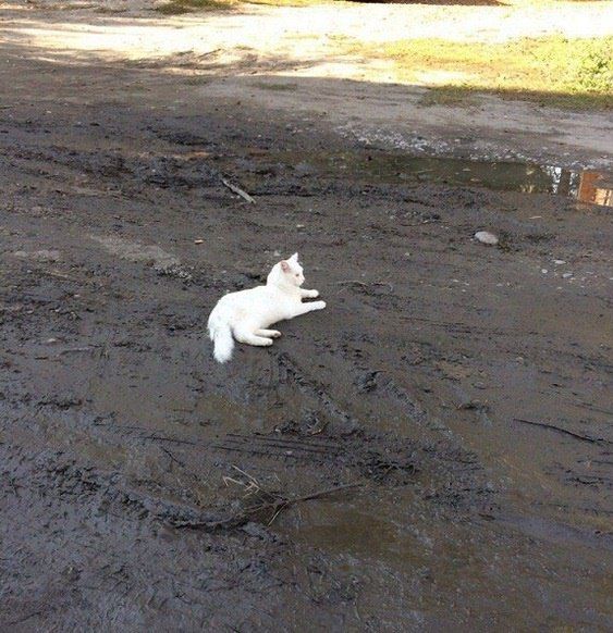 Давайте опубликуем