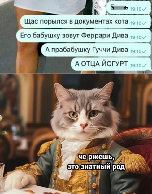 Скуфня (Бояны)
