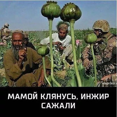 После анонса туров из России в Афганистан талибы выпустили видео с «интересным отдыхом» в стране