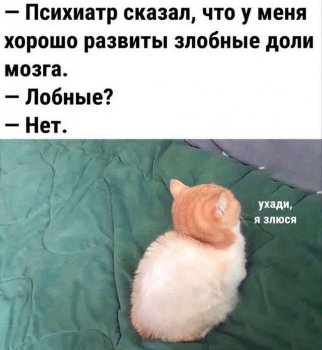 Дело житейское