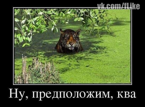 Парк под кодовым названием "Безысходность"