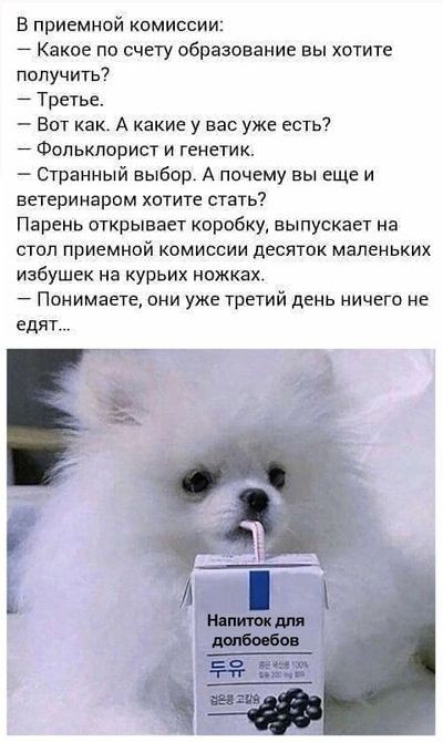 Картиночки, баянчики 25 июля