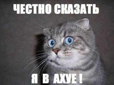 Летающий дворник в Щ