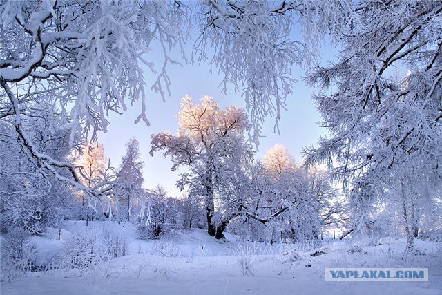 Барнаульская дорога за 242 000 000 рублей