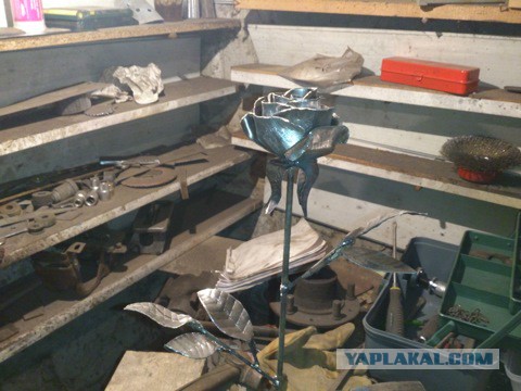 Полтора года к мечте