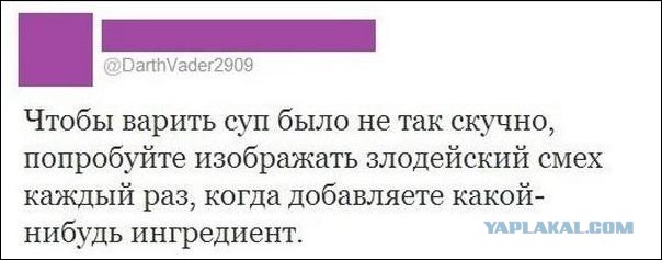 Свежие смешные комментарии из социальных сетей