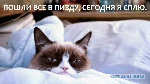 Популярные мемы на ЯПе