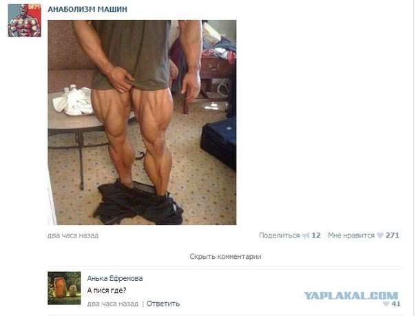 Смешные комментарии из социальных сетей