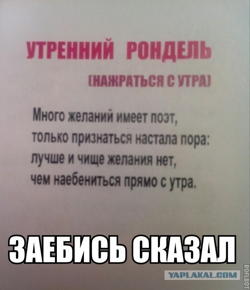 Вестник из соцсетей #12