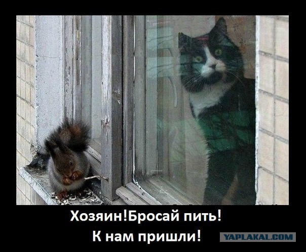 Картинки из инета