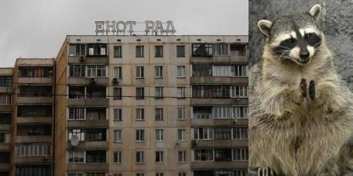 Веселые картинки.