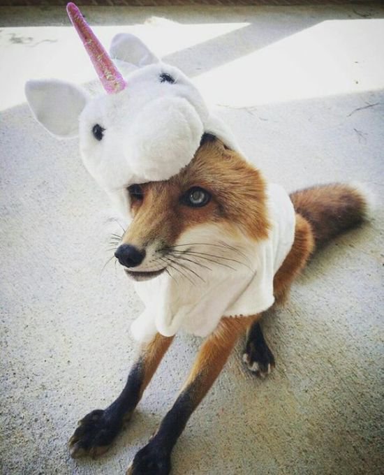 Подборка картинок