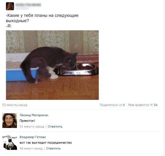 Ужасы и приколы из соцсетей 18+