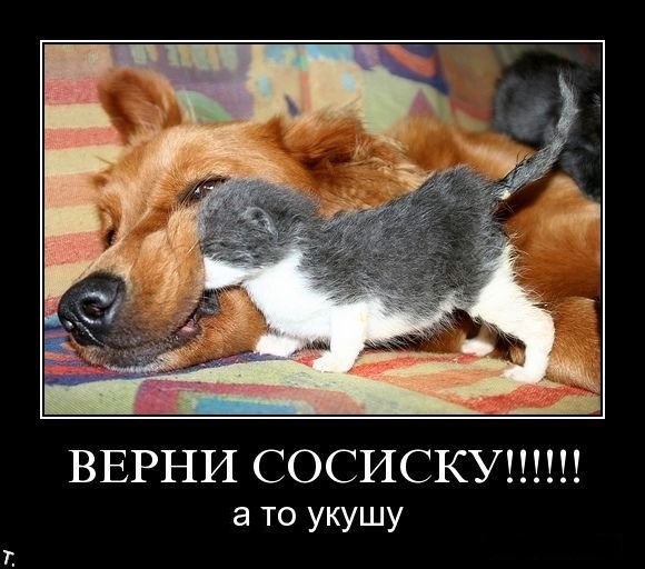 "И тут я увидел её..."