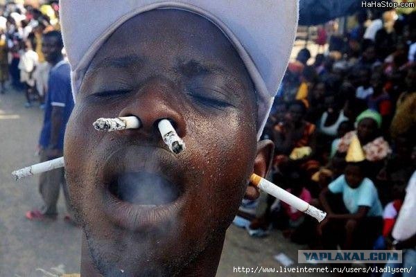 Что курят в стране 404?