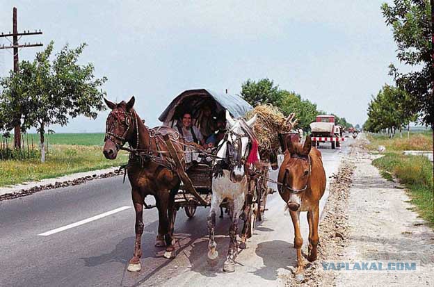 Новое слово в зеленых технологиях