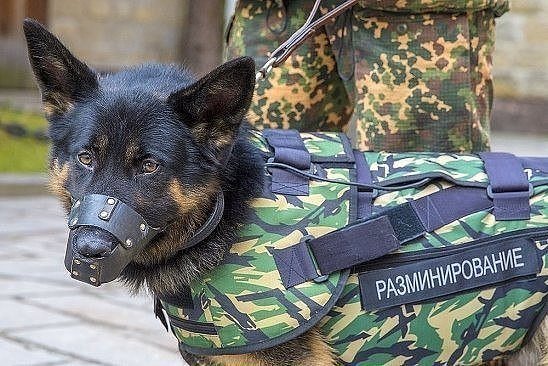 Любопытное в нашей жизни
