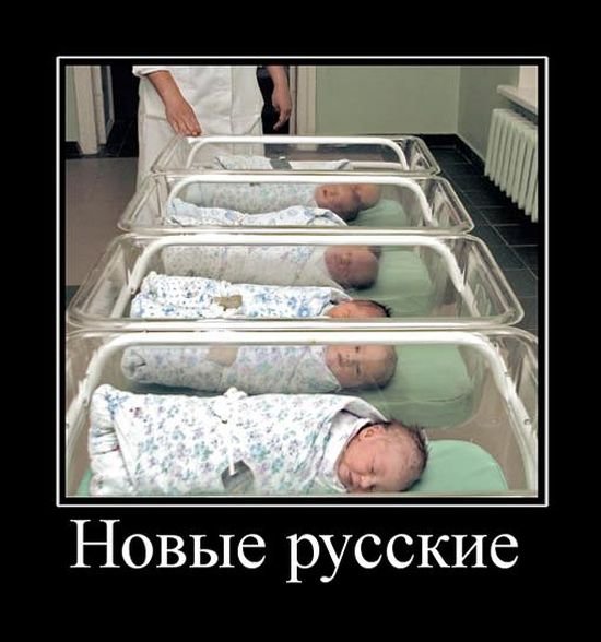 Подборка интересных и веселых картинок