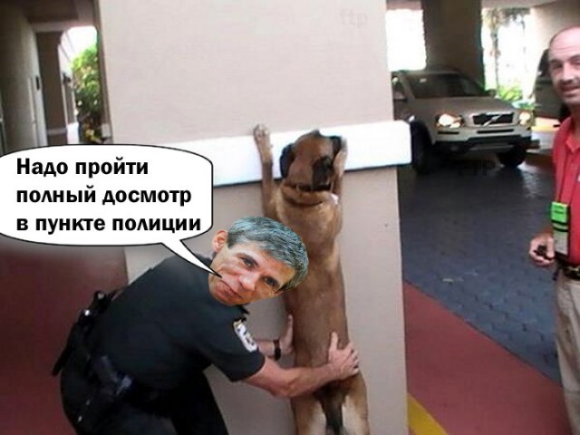 Подборка интересных и веселых картинок