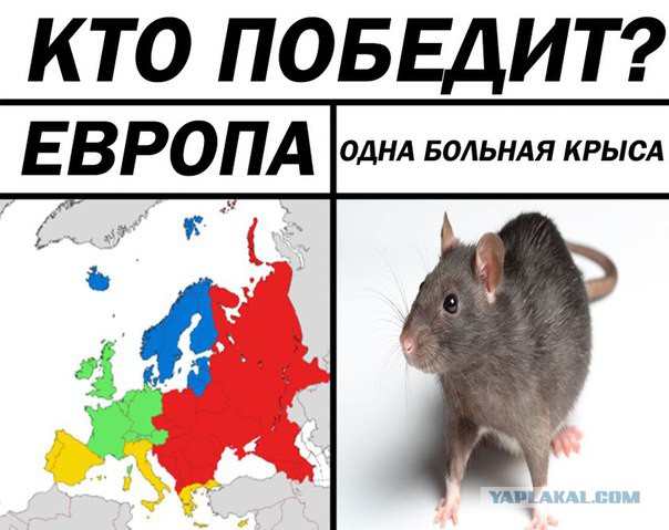 И еще немного картинок...