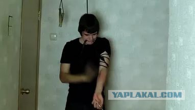 Теории о Вселенной и объективной реальности.
