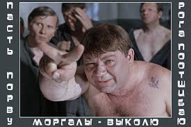 7 самых известных мифов на тему выживания, которые легко вас погубят