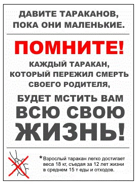 Куда делись тараканы из российских квартир