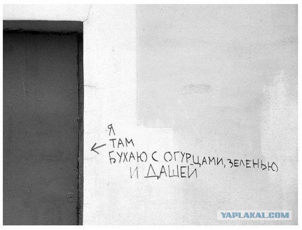Подборка интересных и веселых картинок