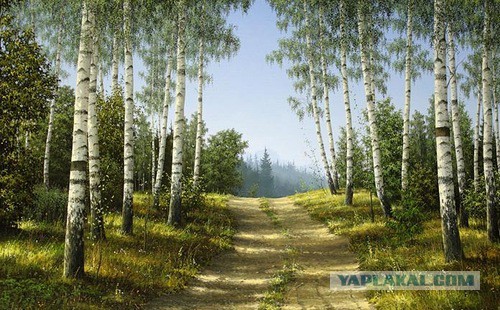 Иван Шишкин. Мастер игры светом.