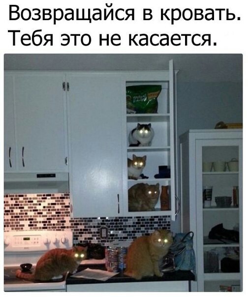 130 картинок для поднятия настроения!