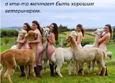 Вы спрашивали, что такое эффективное резюме, коллеги