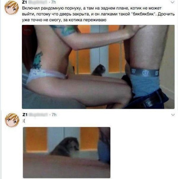 Подборка интересных и веселых картинок